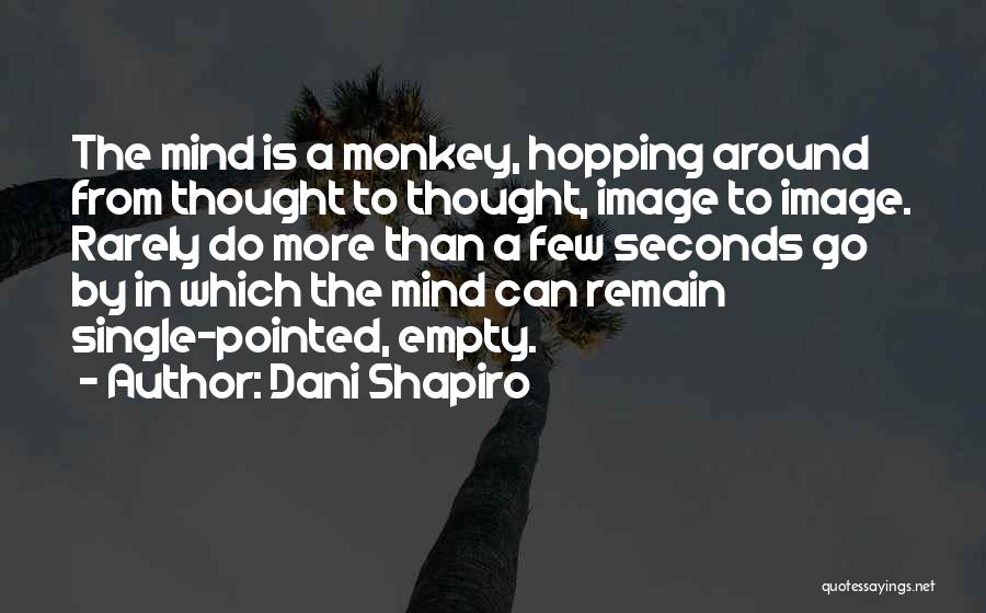 Dani Shapiro Quotes 194459