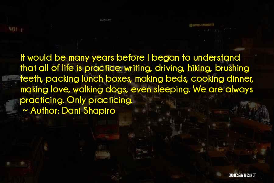 Dani Shapiro Quotes 2217302