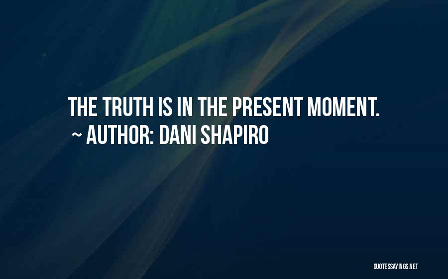 Dani Shapiro Quotes 549063