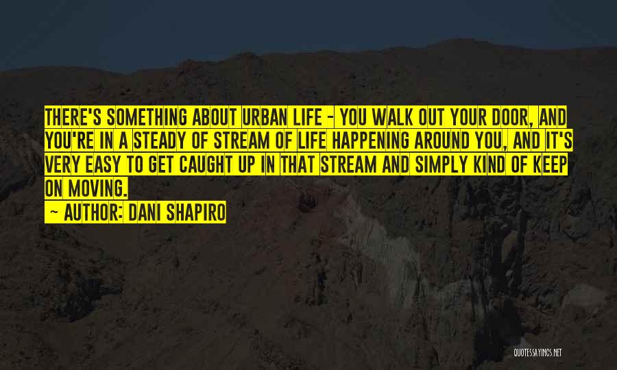 Dani Shapiro Quotes 686674