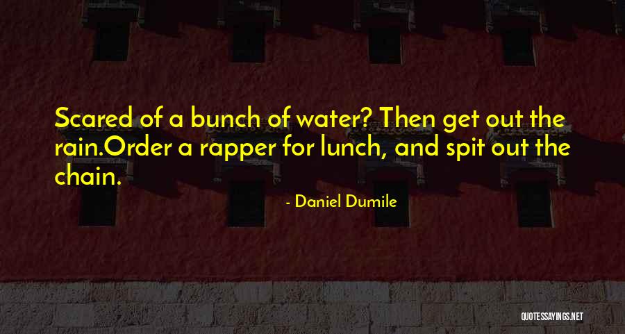 Daniel Dumile Quotes 934971