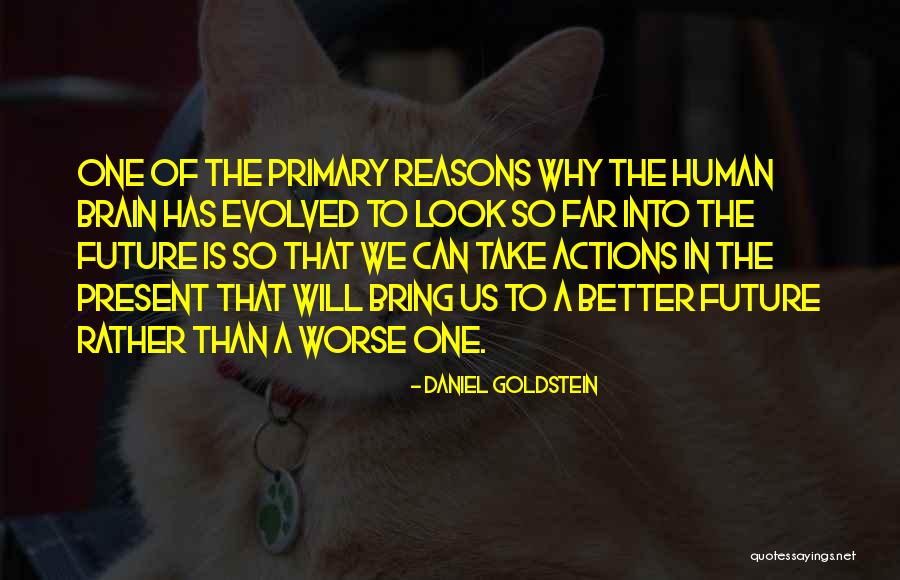 Daniel Goldstein Quotes 1475849