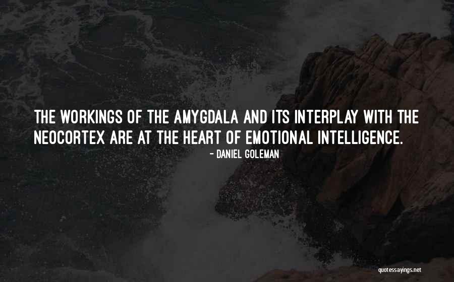 Daniel Goleman Emotional Intelligence Quotes By Daniel Goleman
