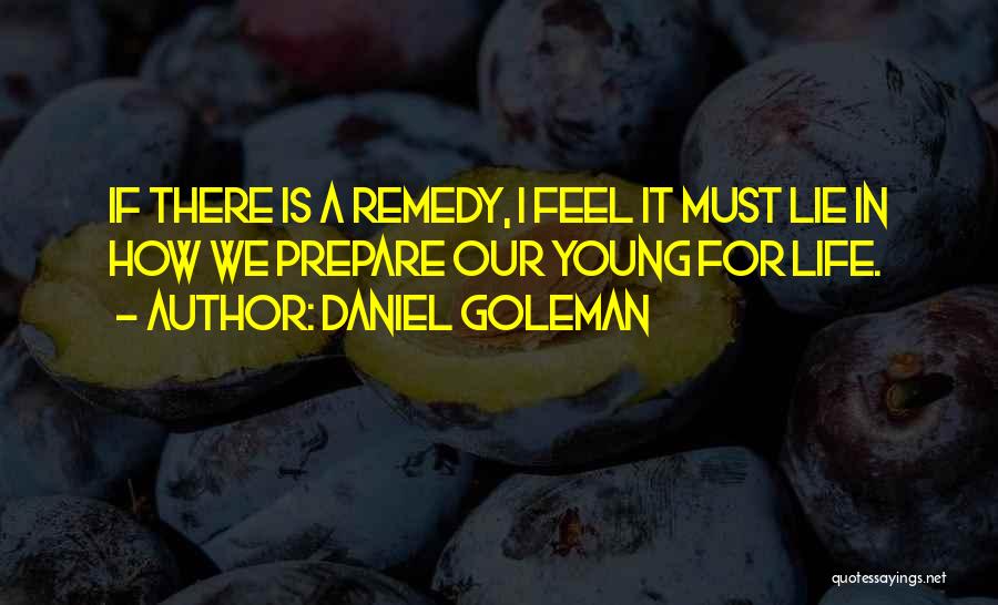 Daniel Goleman Quotes 1379133