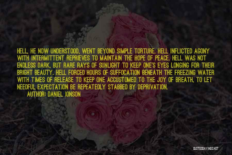 Daniel Ionson Quotes 1860461