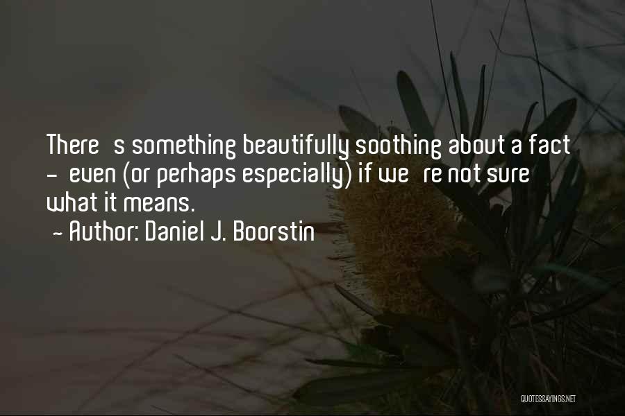 Daniel J. Boorstin Quotes 243370