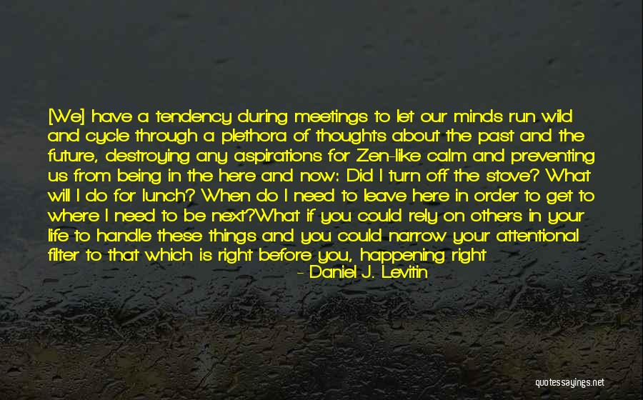 Daniel J. Levitin Quotes 555387 Daniel J. Levitin Quotes 555387