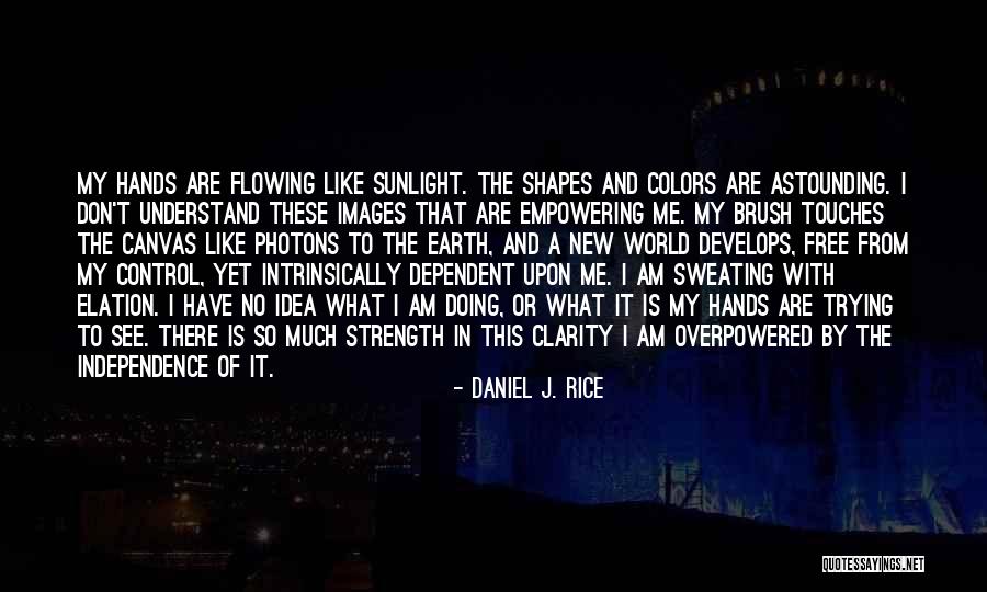 Daniel J. Rice Quotes 1084135 Daniel J. Rice Quotes 1084135