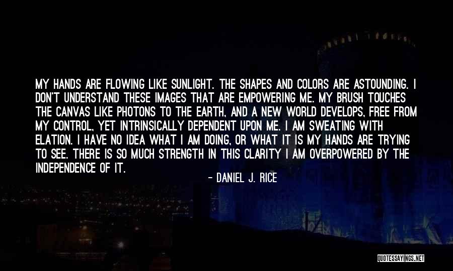 Daniel J. Rice Quotes 1084135