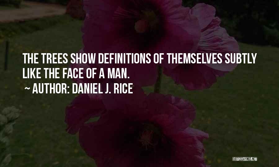 Daniel J. Rice Quotes 1327187