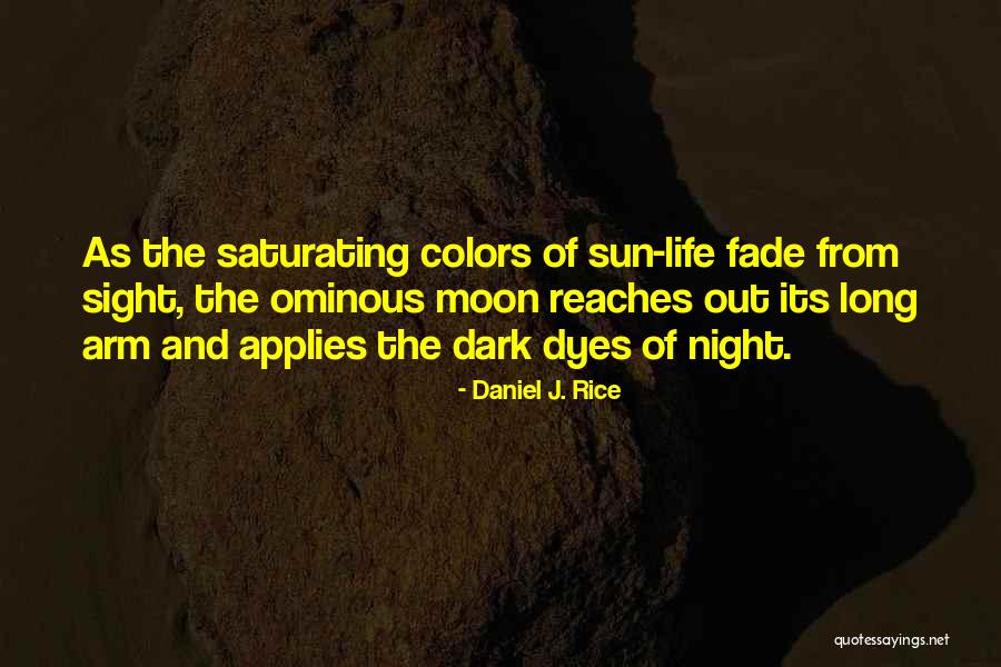 Daniel J. Rice Quotes 1406606