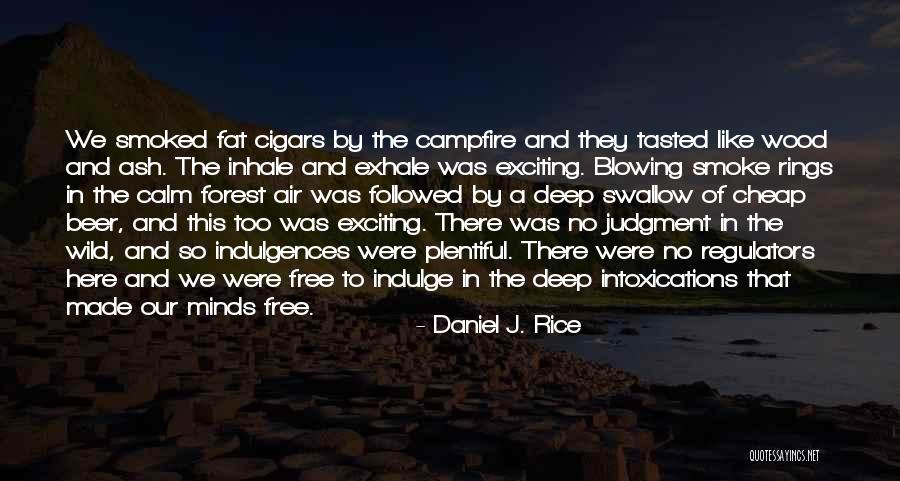 Daniel J. Rice Quotes 1419251