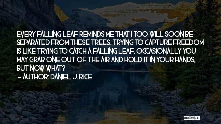 Daniel J. Rice Quotes 258763
