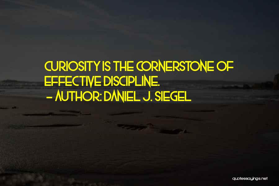 Daniel J. Siegel Quotes 1159615