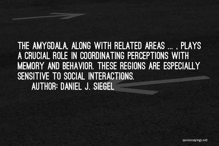 Daniel J. Siegel Quotes 222526