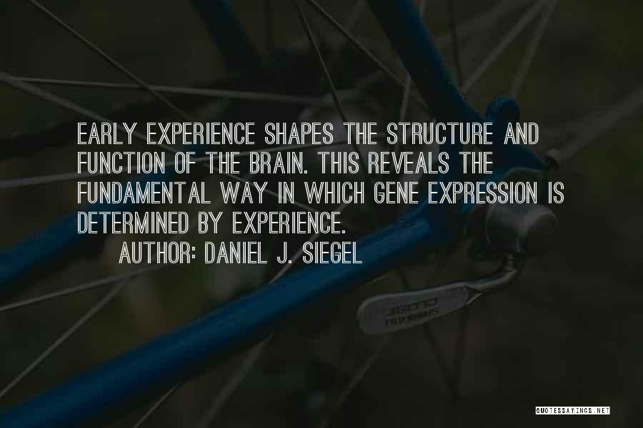 Daniel J. Siegel Quotes 524186