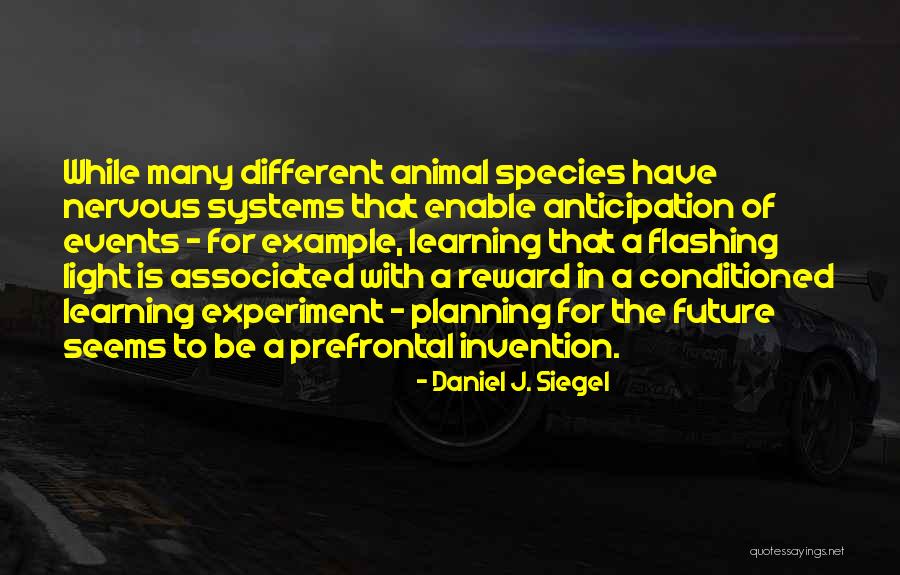 Daniel J. Siegel Quotes 904663 Daniel J. Siegel Quotes 904663
