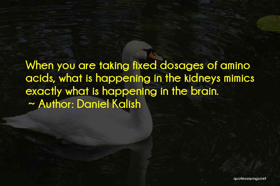 Daniel Kalish Quotes 1677772