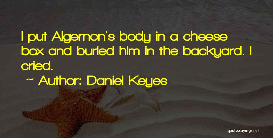 Daniel Keyes Quotes 1752291