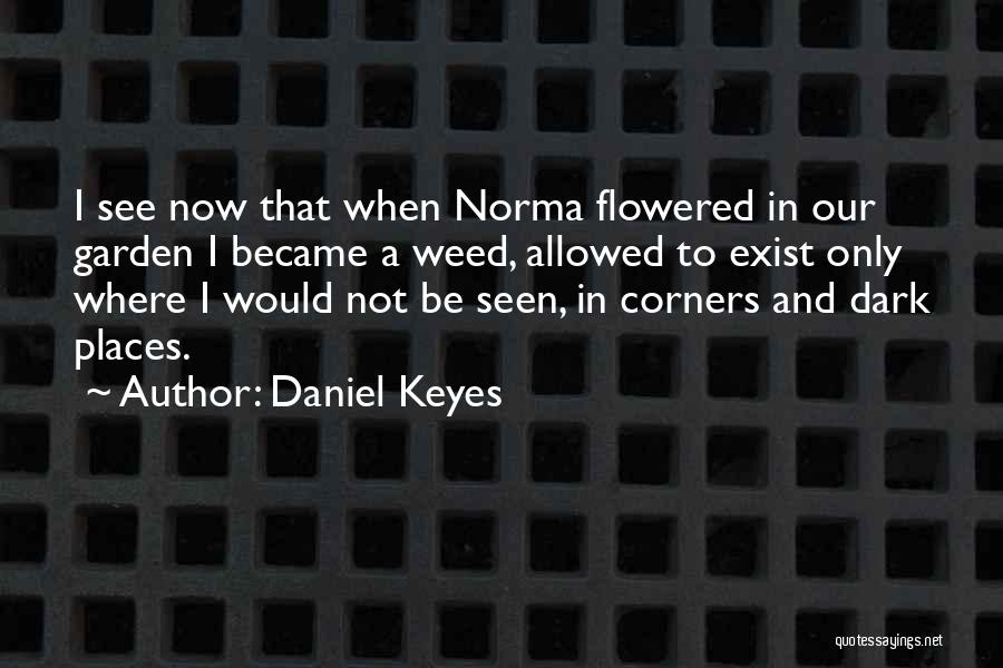 Daniel Keyes Quotes 616744