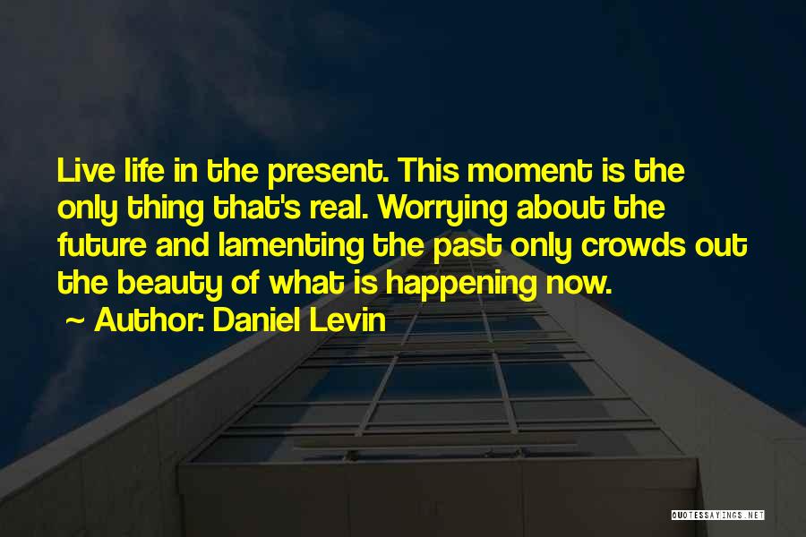 Daniel Levin Quotes 1037969