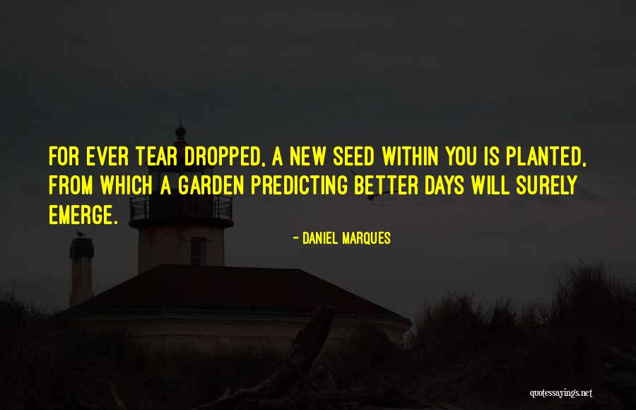 Daniel Marques Quotes 1331243 Daniel Marques Quotes 1331243