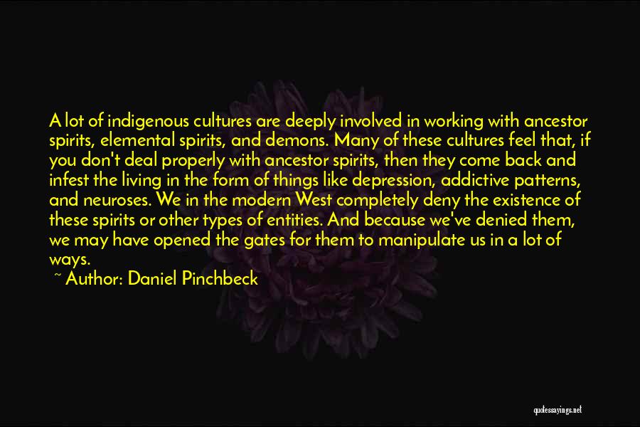 Daniel Pinchbeck Quotes 1394577