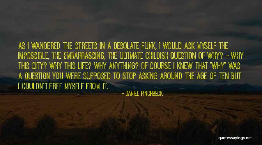 Daniel Pinchbeck Quotes 2005681