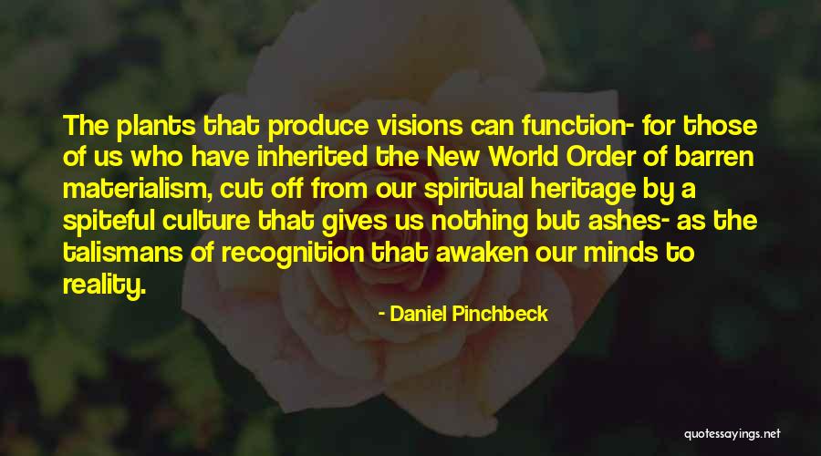 Daniel Pinchbeck Quotes 235375