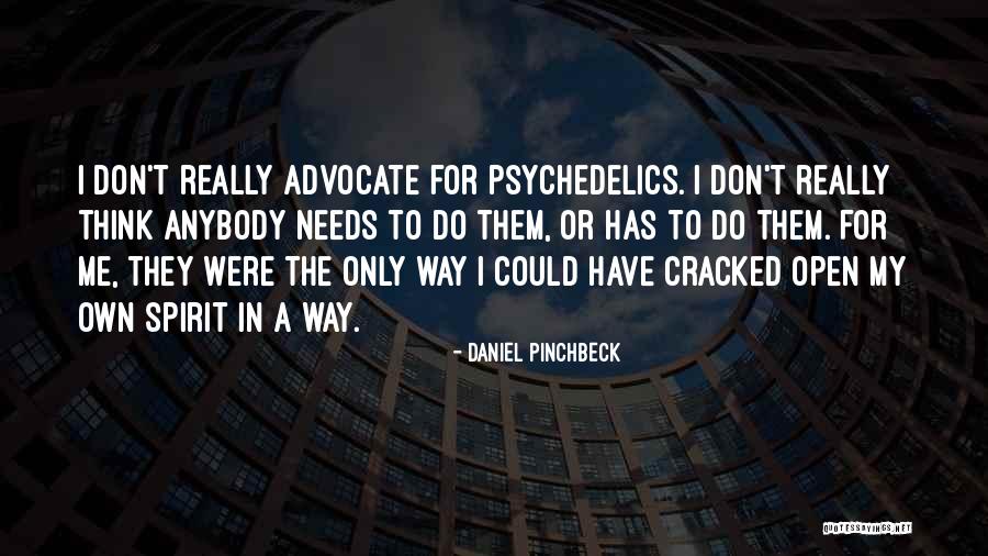 Daniel Pinchbeck Quotes 379154