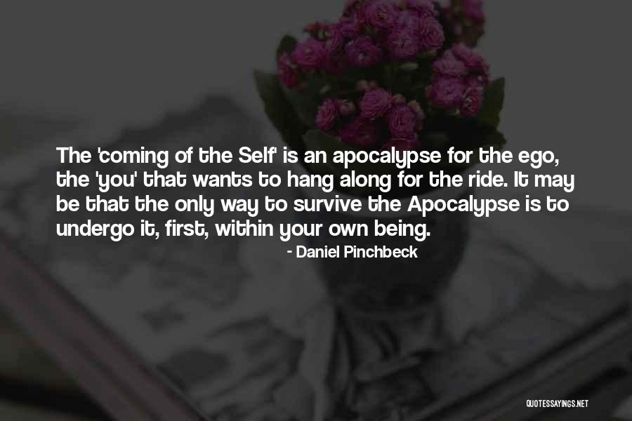 Daniel Pinchbeck Quotes 426444