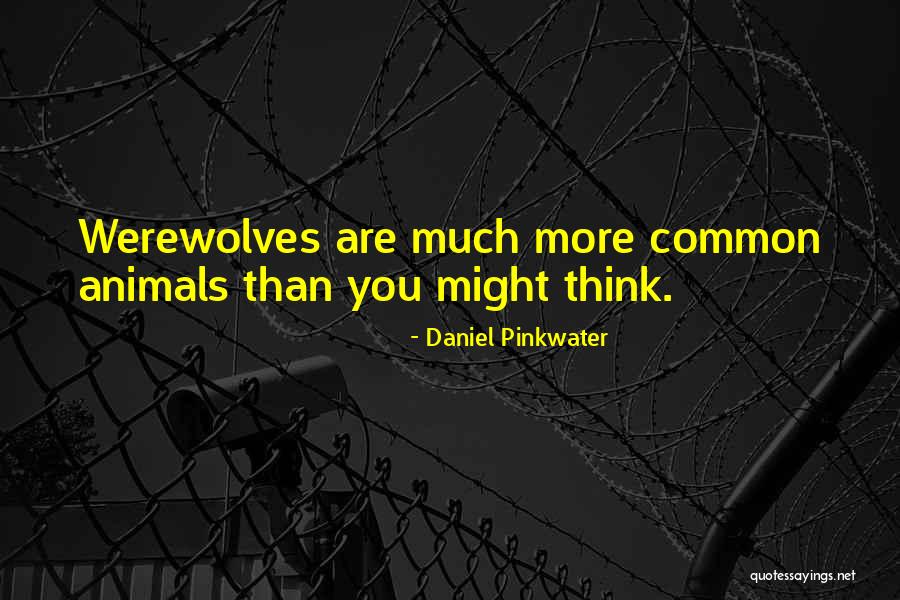 Daniel Pinkwater Quotes 101928 Daniel Pinkwater Quotes 101928