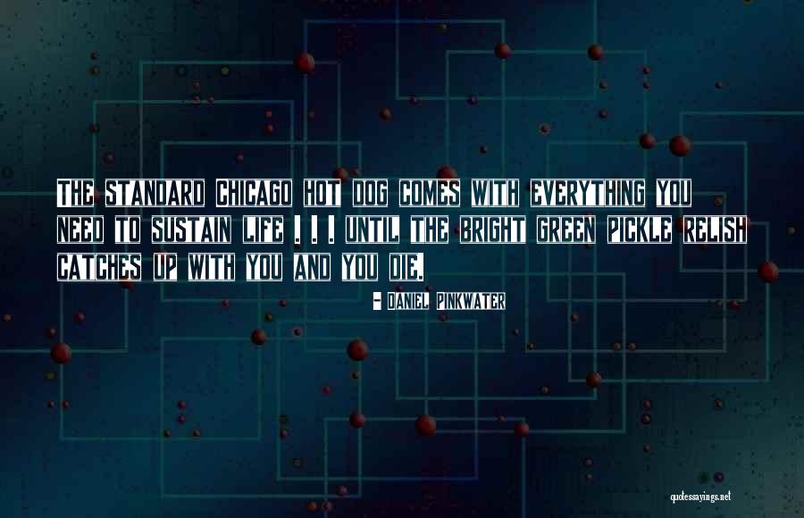 Daniel Pinkwater Quotes 1242527 Daniel Pinkwater Quotes 1242527