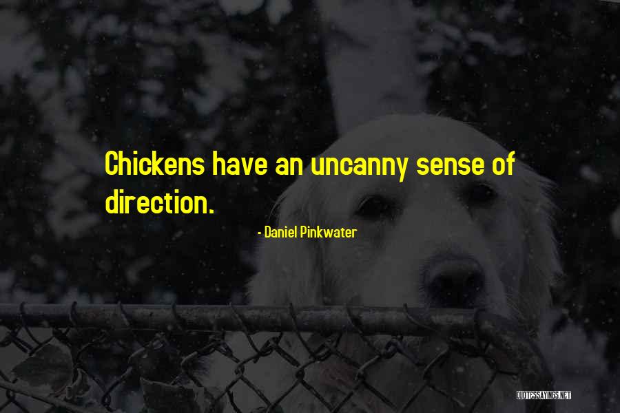 Daniel Pinkwater Quotes 1380812 Daniel Pinkwater Quotes 1380812