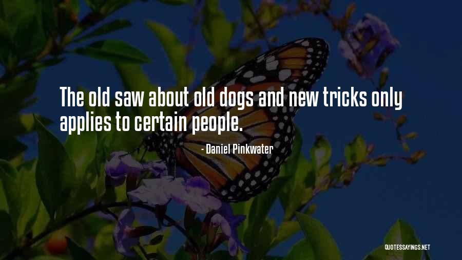 Daniel Pinkwater Quotes 1557667 Daniel Pinkwater Quotes 1557667