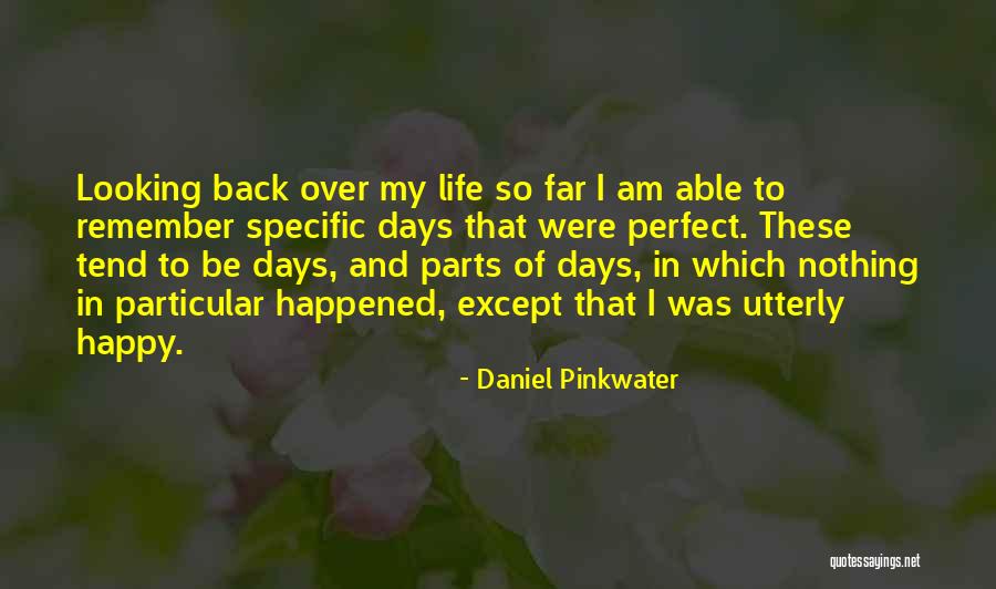 Daniel Pinkwater Quotes 1735088 Daniel Pinkwater Quotes 1735088