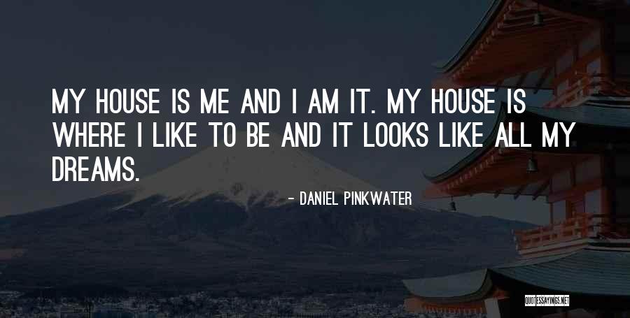Daniel Pinkwater Quotes 737211 Daniel Pinkwater Quotes 737211