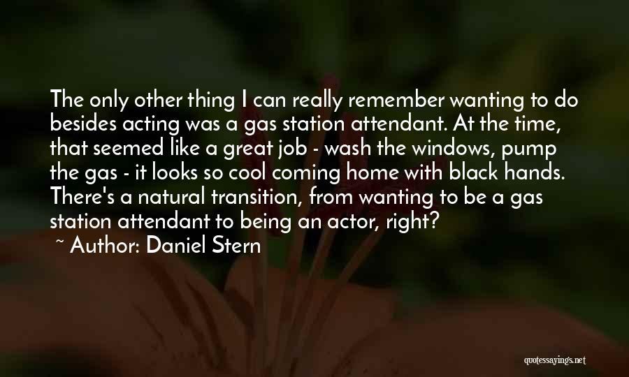 Daniel Stern Quotes 479493