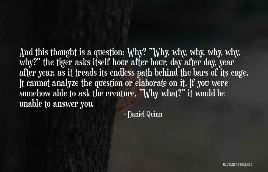 Daniel Tiger Quotes By Daniel Quinn Daniel Tiger Quotes By Daniel Quinn