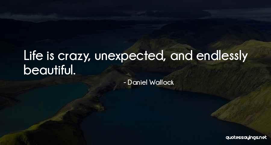 Daniel Wallock Quotes 2172088