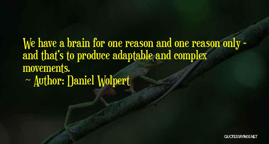 Daniel Wolpert Quotes 1426004