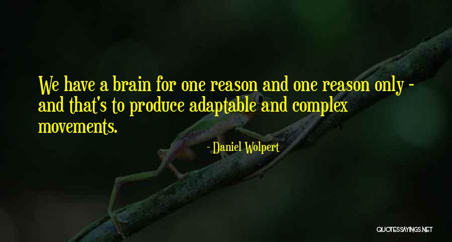 Daniel Wolpert Quotes 1426004