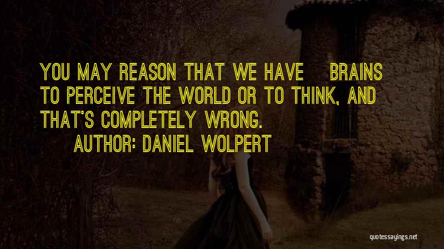 Daniel Wolpert Quotes 803452