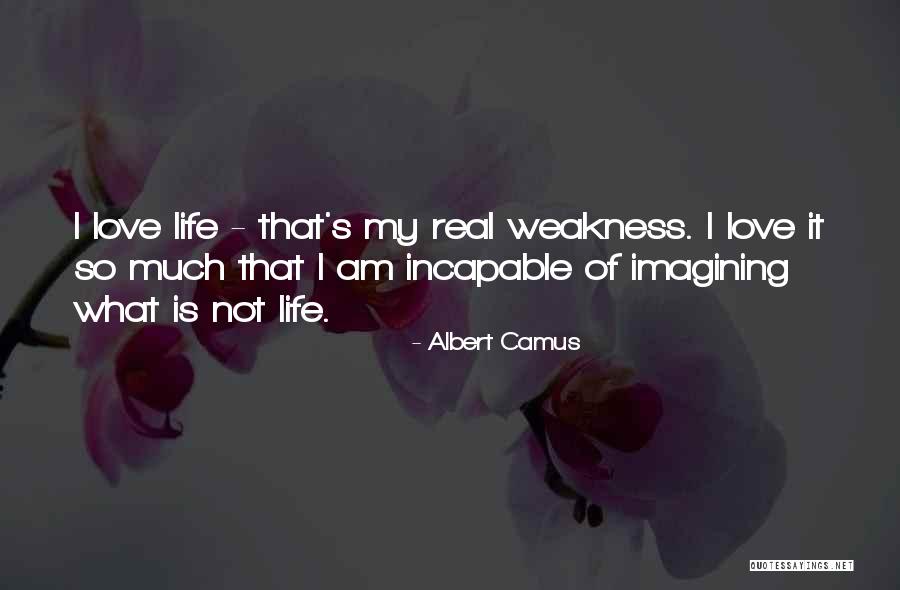 Danielian Alphabet Quotes By Albert Camus Danielian Alphabet Quotes By Albert Camus