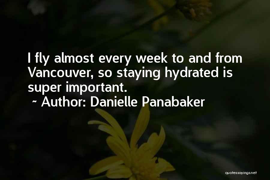 Danielle Panabaker Quotes 1607954