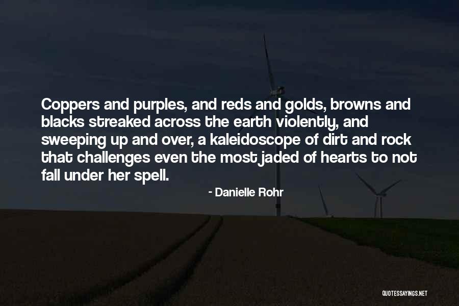 Danielle Rohr Quotes 1648519