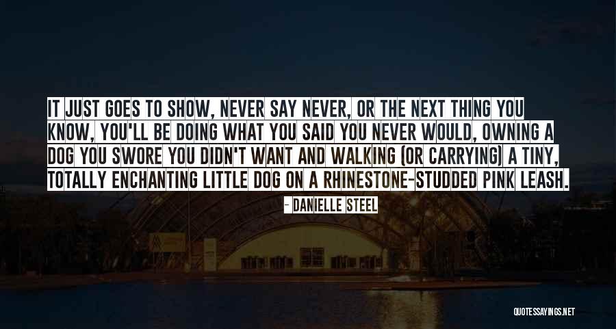 Danielle Steel Quotes 1949293