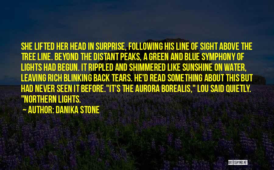 Danika Stone Quotes 2106163