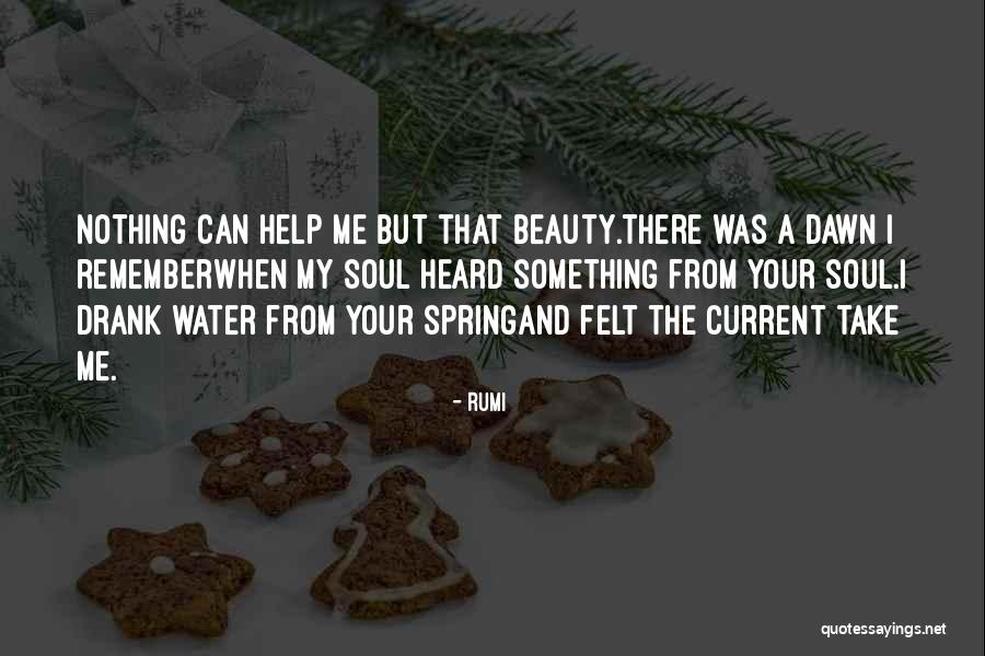 Daniken Erich Quotes By Rumi Daniken Erich Quotes By Rumi