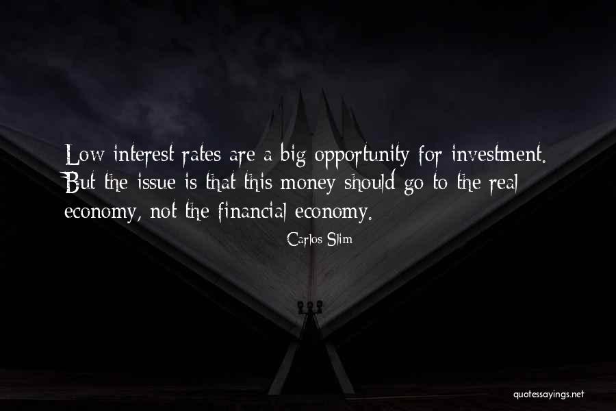 Danimaux Domestiques Quotes By Carlos Slim Danimaux Domestiques Quotes By Carlos Slim